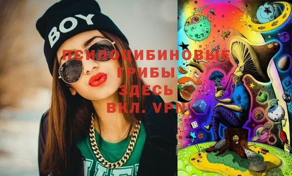 сатива Навашино