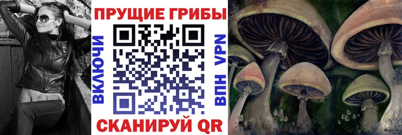 купить  сайты  Новое Девяткино  Псилоцибиновые грибы мицелий 